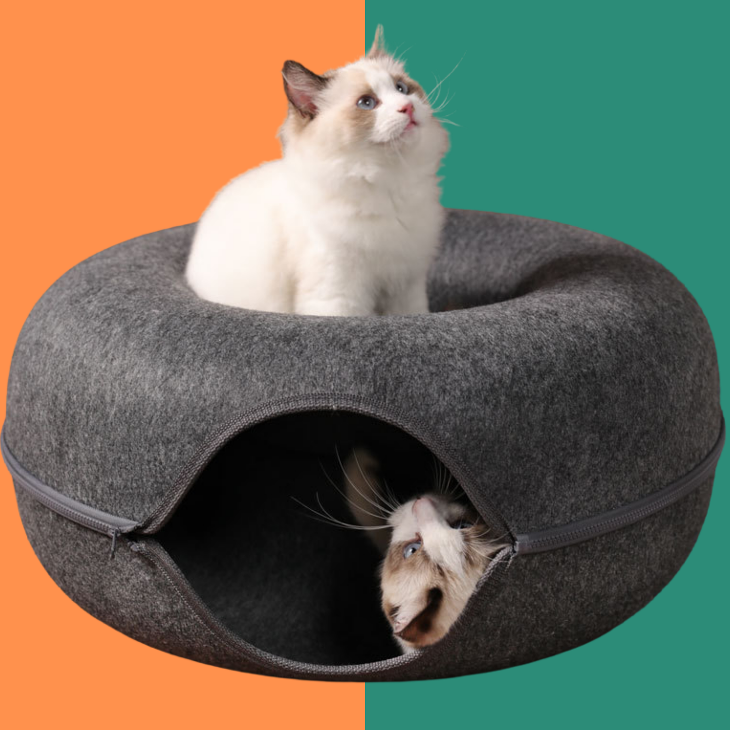 Interactive Cat Tunnel Bed House