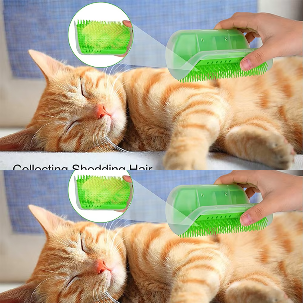 Self-Grooming Cat Corner Brush for Hair Removal & Massage