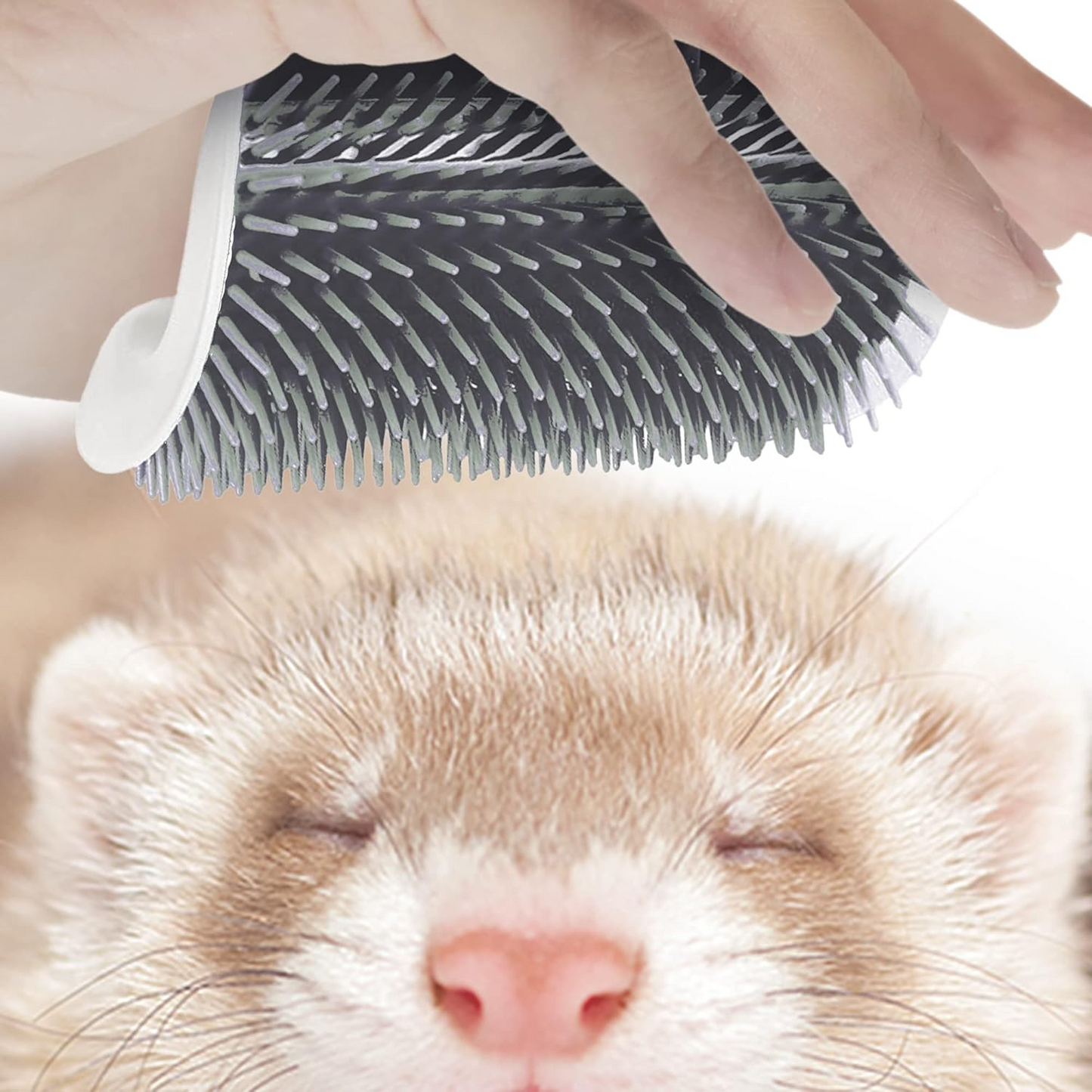 Self-Grooming Cat Corner Brush for Hair Removal & Massage