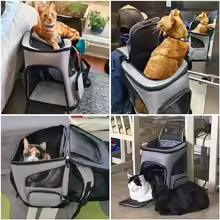 Foldable Expandable Pet Carrier Backpack for Cats & Dogs