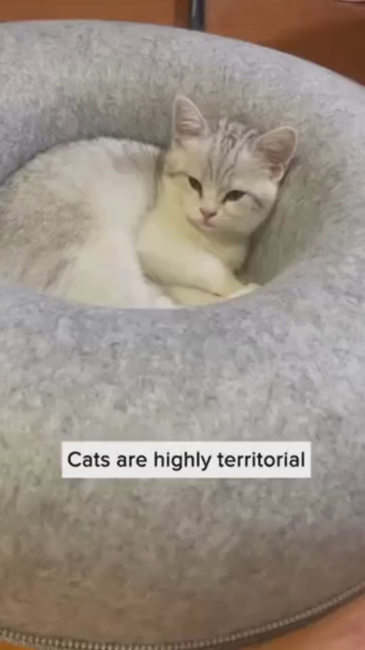 Interactive Cat Tunnel Bed House