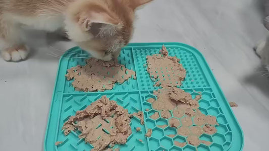 Pet Silicone Lick Mat for Dogs & Cats