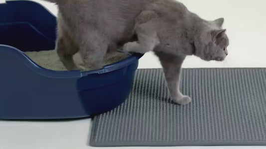 Waterproof Double Layer Cat Litter Mat