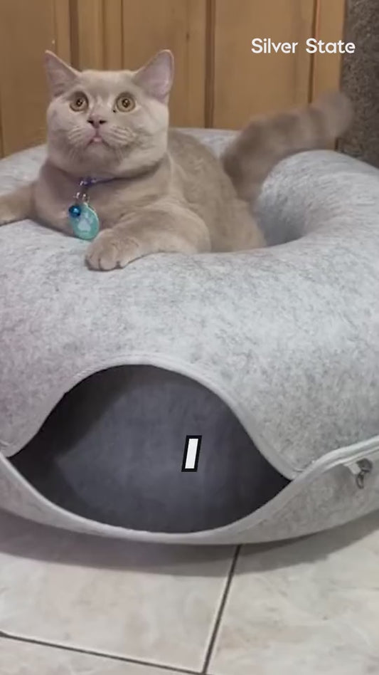 Interactive Cat Tunnel Bed House